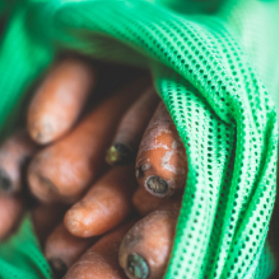 rifiuti di plastica nel mare